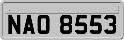 NAO8553