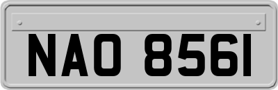 NAO8561