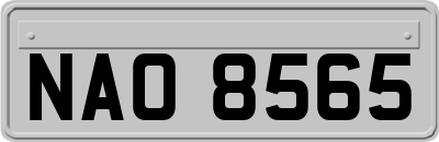 NAO8565