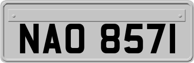 NAO8571