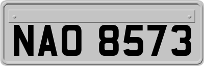 NAO8573