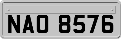 NAO8576