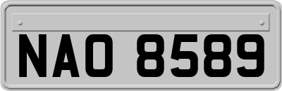 NAO8589