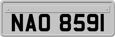 NAO8591