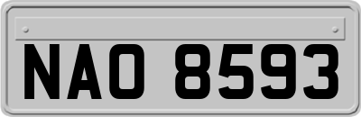 NAO8593