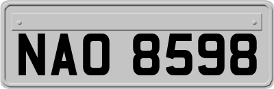 NAO8598