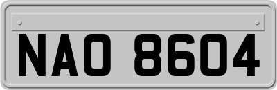 NAO8604