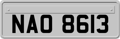 NAO8613