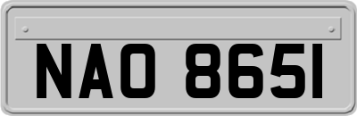 NAO8651