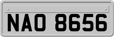 NAO8656