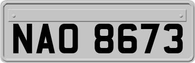 NAO8673