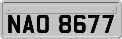 NAO8677