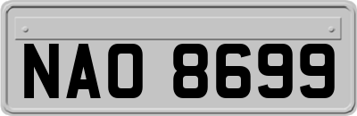 NAO8699