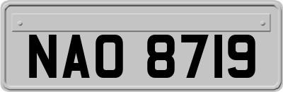 NAO8719