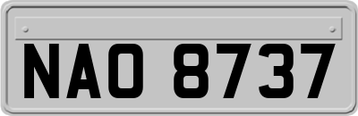 NAO8737