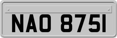 NAO8751