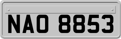 NAO8853