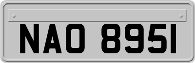 NAO8951