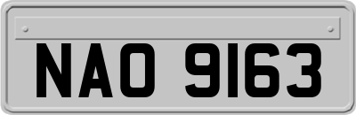 NAO9163