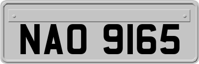 NAO9165