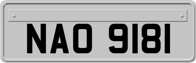 NAO9181