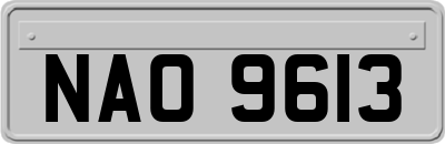NAO9613