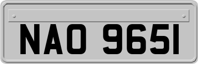 NAO9651