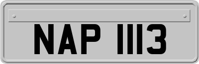 NAP1113