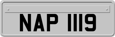 NAP1119