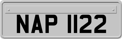 NAP1122