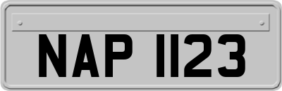 NAP1123