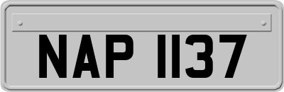 NAP1137