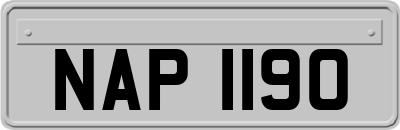 NAP1190