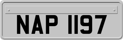 NAP1197