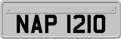 NAP1210