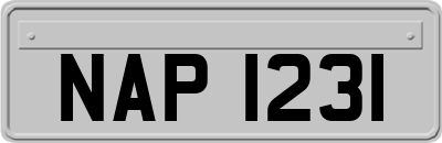 NAP1231