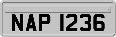 NAP1236