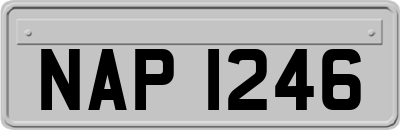 NAP1246