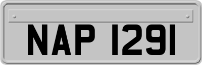 NAP1291