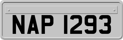 NAP1293