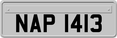 NAP1413