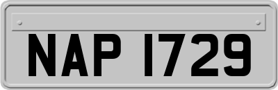 NAP1729
