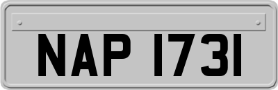 NAP1731