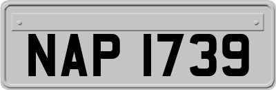 NAP1739