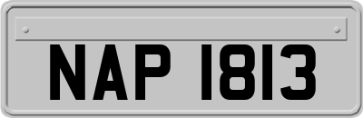 NAP1813
