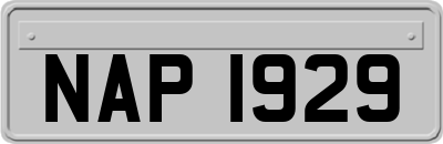 NAP1929