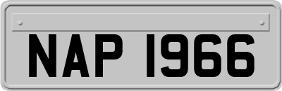 NAP1966