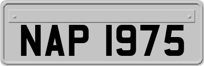 NAP1975