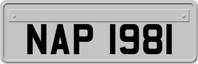 NAP1981