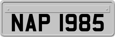 NAP1985